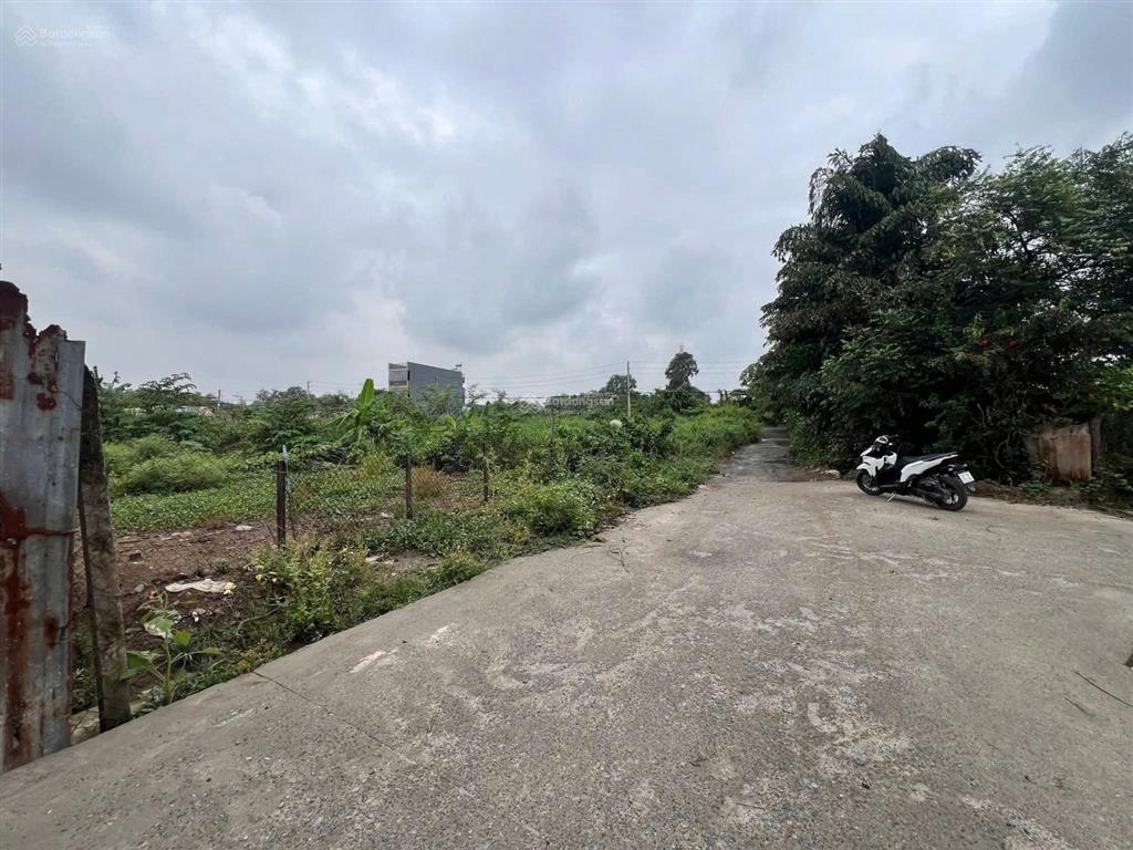 Hàng đẹp bình mỹ củ chi | ngang 10m siêu hiếm