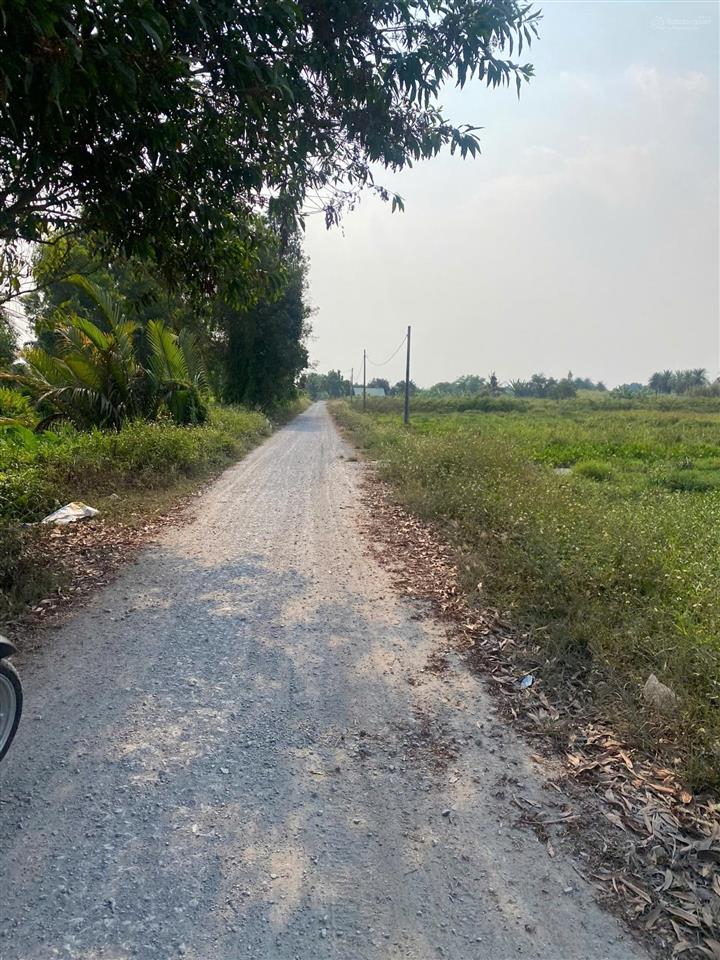 Hàng hiếm bình mỹ 1.568m2 mặt tiền đường 171, mặt rạch cực đẹp