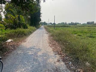 Hàng hiếm bình mỹ 1.568m2 mặt tiền đường 171, mặt rạch cực đẹp