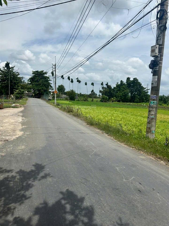 Lô đất vườn liền kề bình mỹ, củ chi