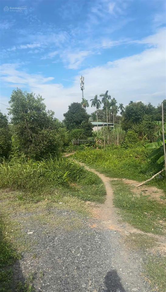 Cần bán gấp đất mặt tiền rạch bình mỹ, giá chỉ 2,7 triệu/m2