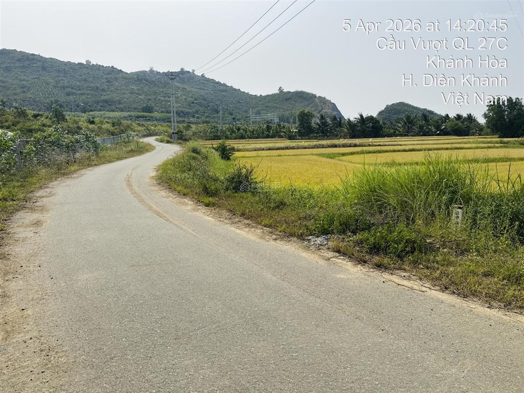 Cần bán gấp 209m2 đất lúa mặt tiền đường nhựa 10m ngang 28m ngay ql27c, gần trạm thu phí diên thọ