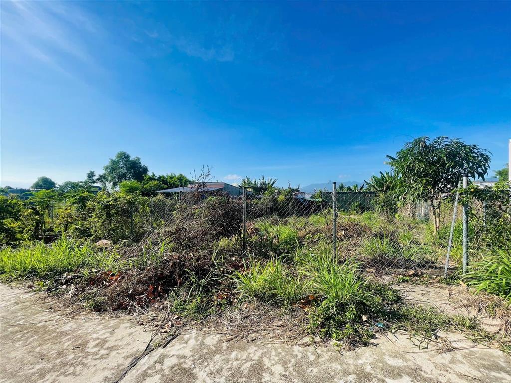 Đất vườn diên an thôn an ninh 1tỷ 525tr diện tích 305m2 (ngang gần 12m) 60m thổ cư đường rộng 6m