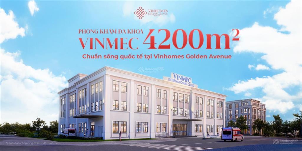 Cặp liền kề vinhomes móng cái dãy thời đại 1 | hàng hiếm mt 8m 120m2
