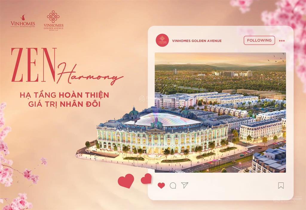 Cặp liền kề vinhomes móng cái dãy thời đại 1 | hàng hiếm mt 8m 120m2