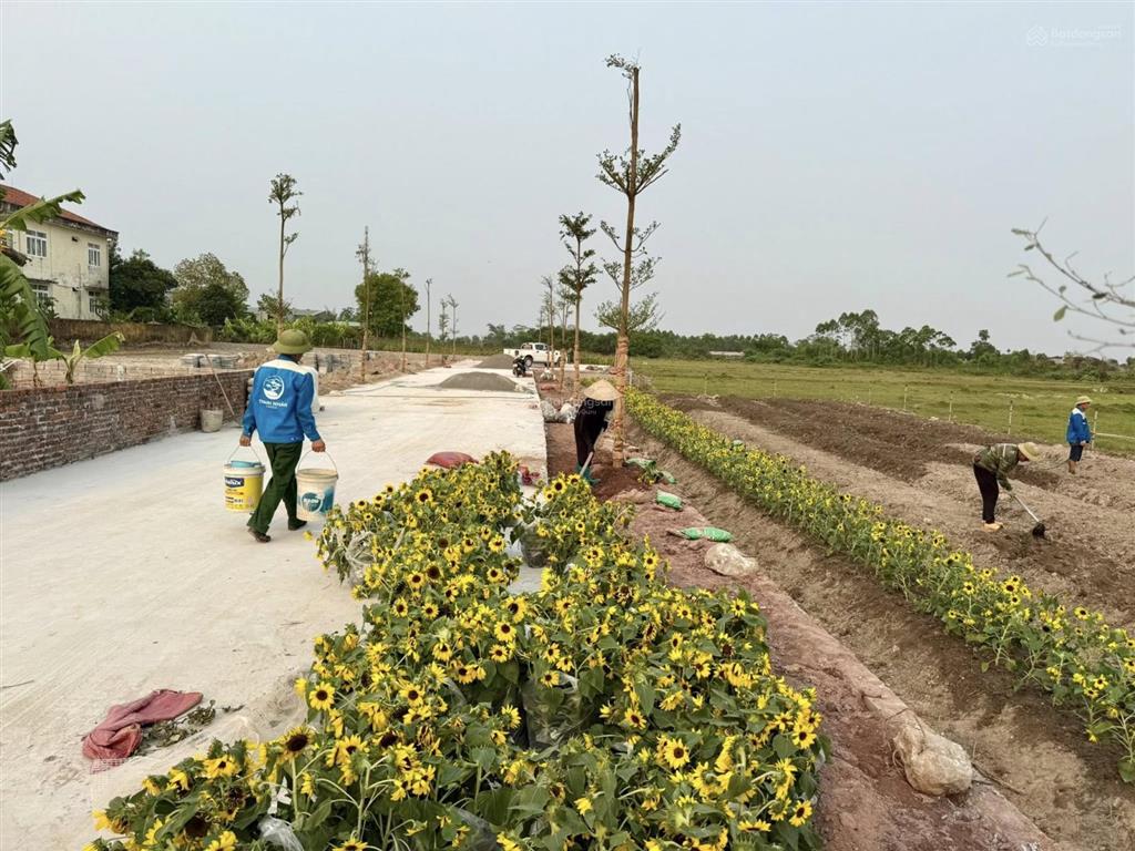 Bán đất hải hòa gần vinhomes móng cái, 130m2, giá 1,5x tỷ, sổ đỏ ô tô đỗ cửa