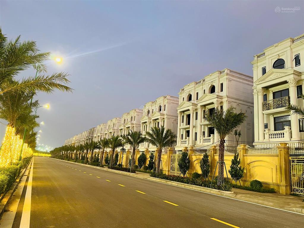 Bán bt đơn lập tinh hoa 2 lô 58 hướng tb 365,5m2 đất xd 921,3m2 thô view giữa vườn hoa lớn 135 tỷ