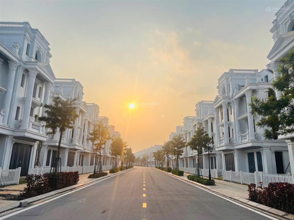 Bán bt đơn lập tinh hoa 2 lô 58 hướng tb 365.5m² đất xd 921.3m² thô view giữa vườn hoa lớn 135 tỷ