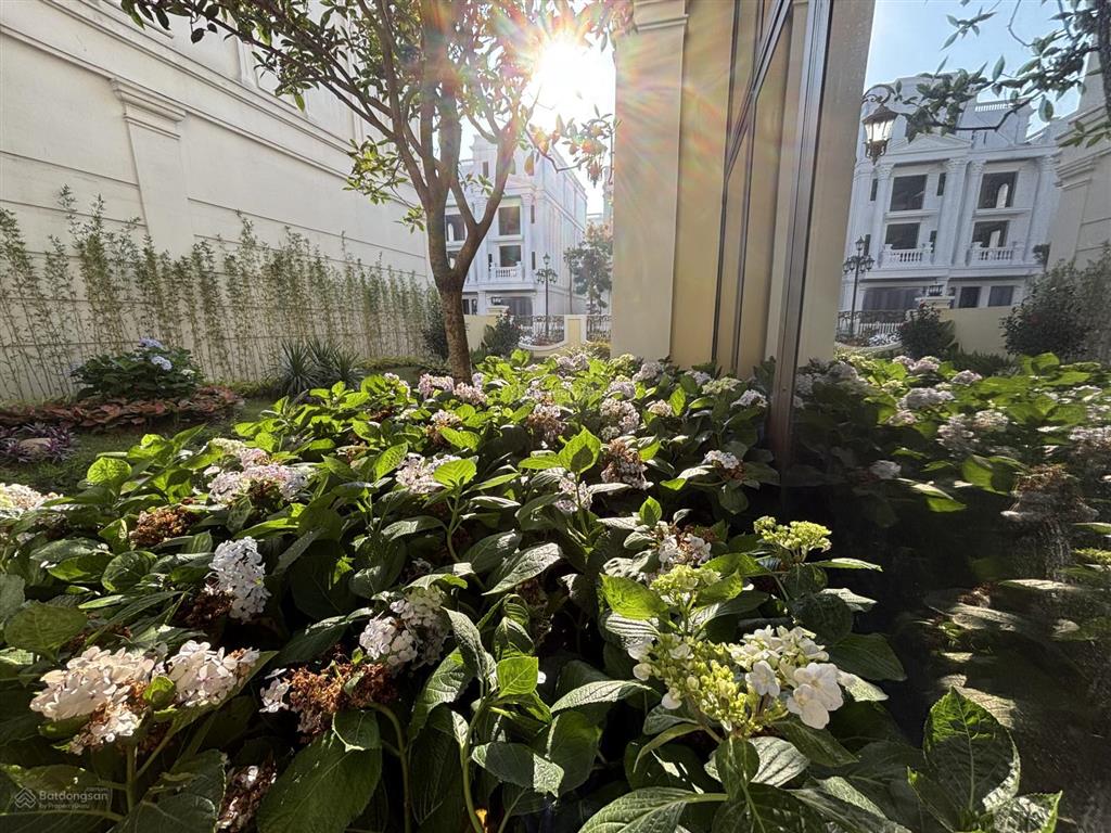 Bán bt đơn lập tinh hoa 2 lô 58 hướng tb 365,5m2 đất xd 921,3m2 thô view giữa vườn hoa lớn 135 tỷ