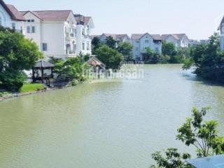 Bán gấp bt đơn lập hoa sữa 5  11, tn 366.5m² đất, xd 518.9m², view sông đẹp dự án giá 92tỷ