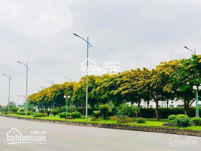 Bán gấp bt đơn lập hoa sữa 5  11, tn 366,5m2 đất, xd 518,9m2, view sông đẹp dự án giá 120tỷ