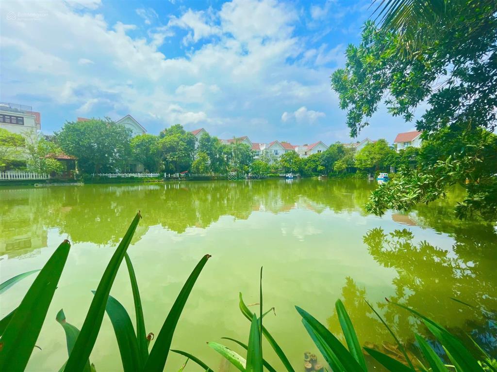 Bán gấp bt hoa sữa 07  06 hướng đb 412.5m2 xây dựng 724.1m2 view vườn hoa lớn sông miên man, 109tỷ