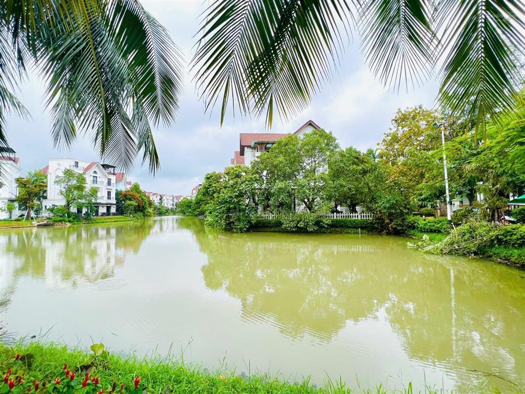 Bán gấp bt hoa sữa 07  06 hướng đb 412.5m2 xây dựng 724.1m2 view vườn hoa lớn sông miên man, 109tỷ