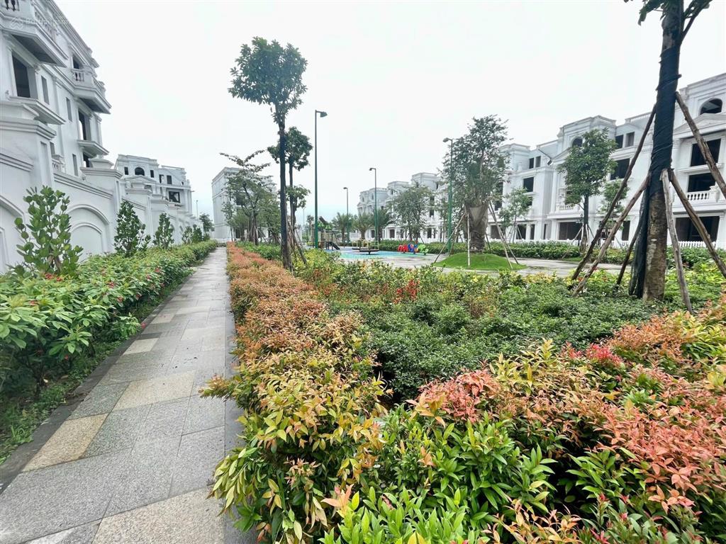 Bán gấp bt long biên golf villas hướng đn, 338m2 có hầm căn thô xd 800m2 view vườn hoa giá 118 tỷ