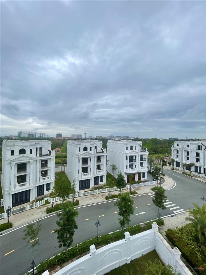 Bán gấp bt long biên golf villas hướng đn, 338m2 có hầm căn thô xd 800m2 view vườn hoa giá 118 tỷ