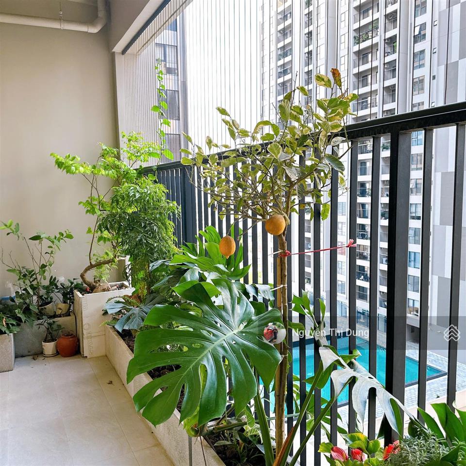 Chủ chuyển xuống liền kề nên cần bán căn hộ 142m2 ban công đông nam giá 8.7 tỷ bao phí