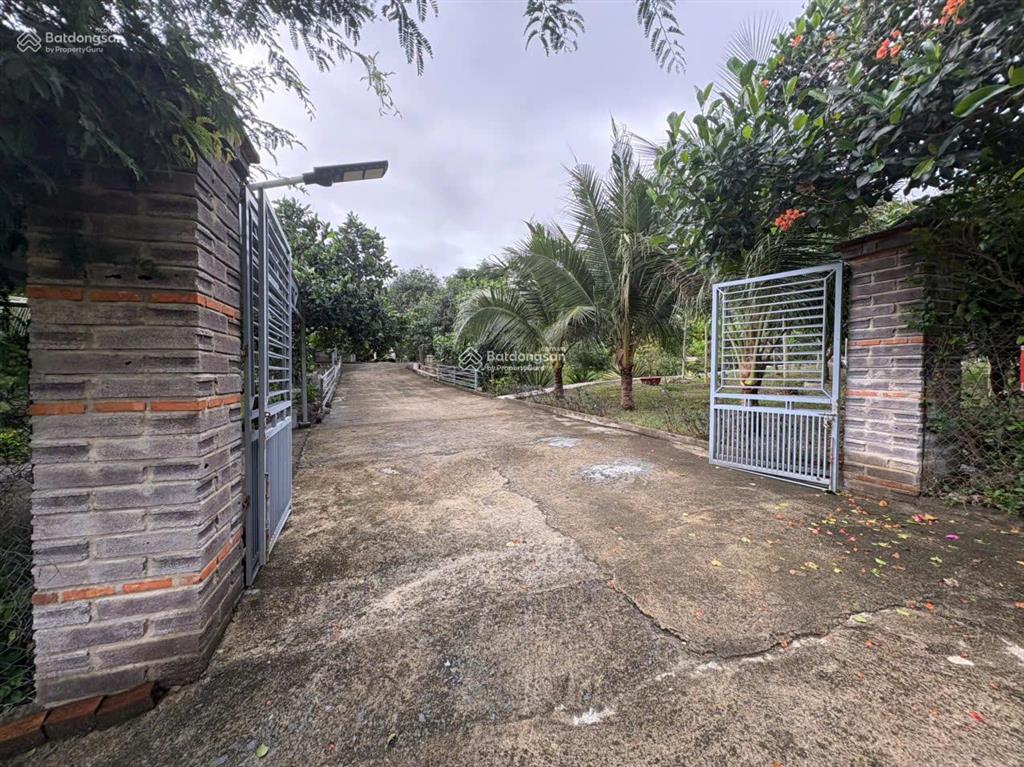 Bán nhà vườn hoàn thiện chỉ 1.5triệu/m² (nam nha trang)