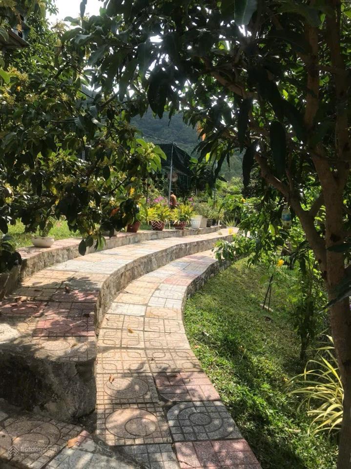 Bán nhà vườn hoàn thiện chỉ 1.5triệu/m² (nam nha trang)