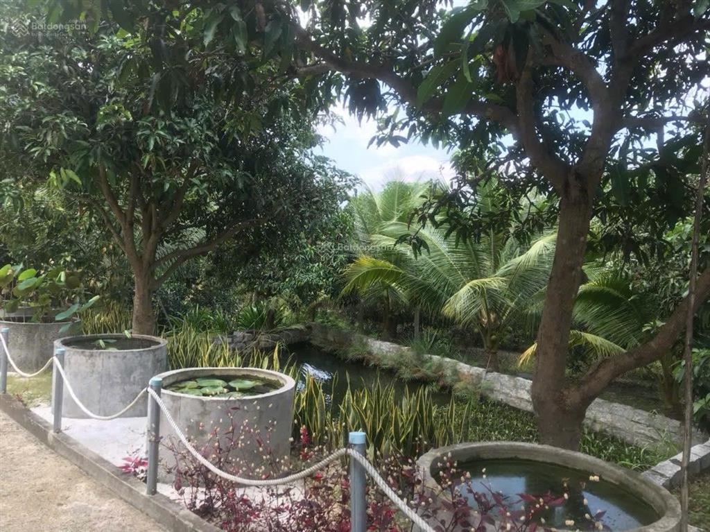 Bán nhà vườn hoàn thiện chỉ 1.5triệu/m² (nam nha trang)