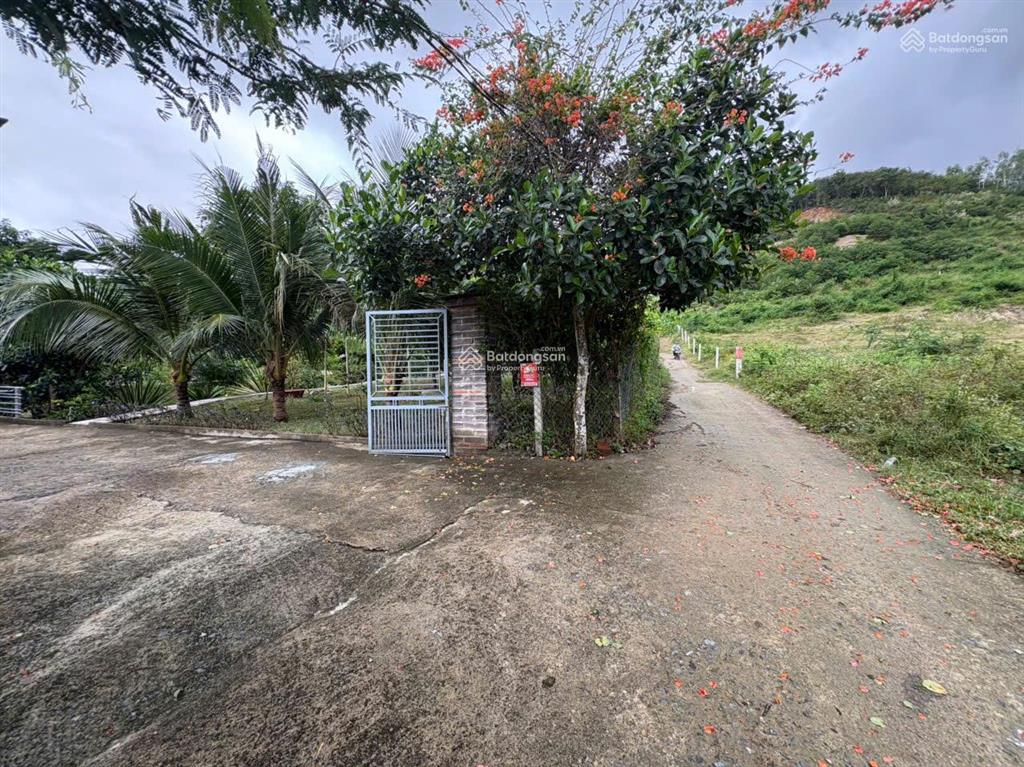 Bán nhà vườn hoàn thiện chỉ 1.5triệu/m² (nam nha trang)