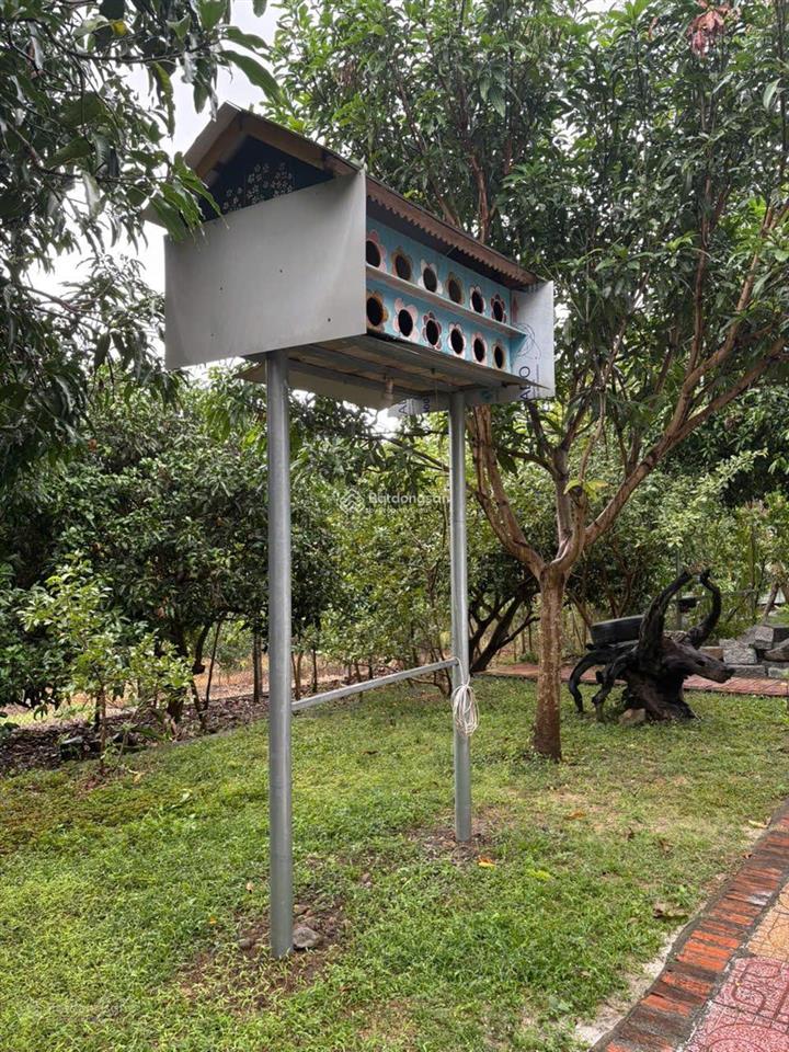 Bán nhà vườn hoàn thiện chỉ 1.5triệu/m² (nam nha trang)
