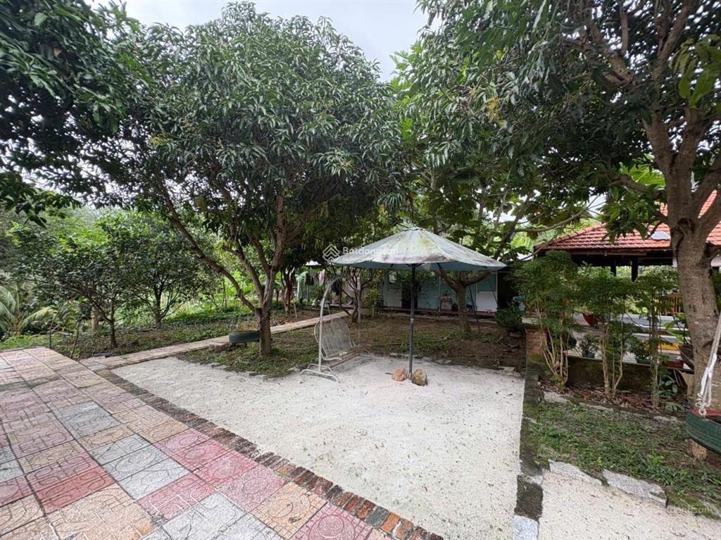 Bán nhà vườn hoàn thiện chỉ 1.5triệu/m² (nam nha trang)