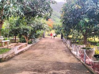 Bán nhà vườn hoàn thiện chỉ 1.5triệu/m² (nam nha trang)