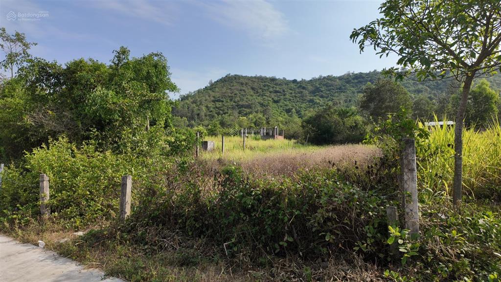 Bán đất thổ cư phường ninh hòa 478m2, ô tô vào tận đất, giá chỉ 7 triệu/m2