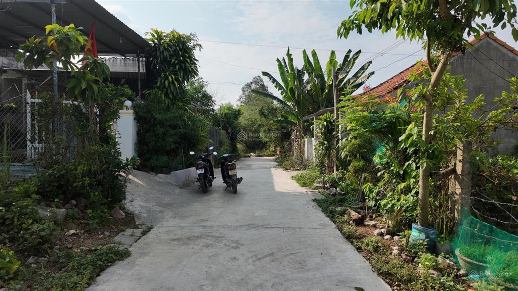 Bán đất thổ cư phường ninh hòa 478m2, ô tô vào tận đất, giá chỉ 7 triệu/m2