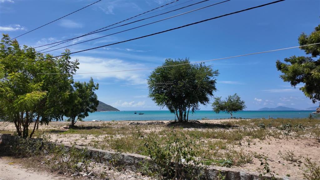 Đất sát biển ninh vân, ninh hoà 5050m2 có thổ cư xây homstsay cực đẹp, giá đầu tư rất rẻ chỉ 5tr/m
