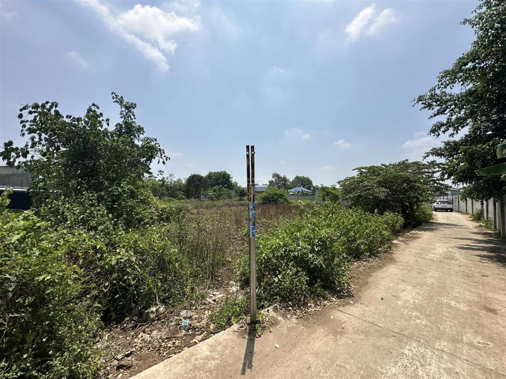 Cần bán gấp, giảm 2 tỷ đất 2269m2 tại điểu xiển, 13 tỷ (thương lương), pháp lý đầy đủ, mặt tiền 4m