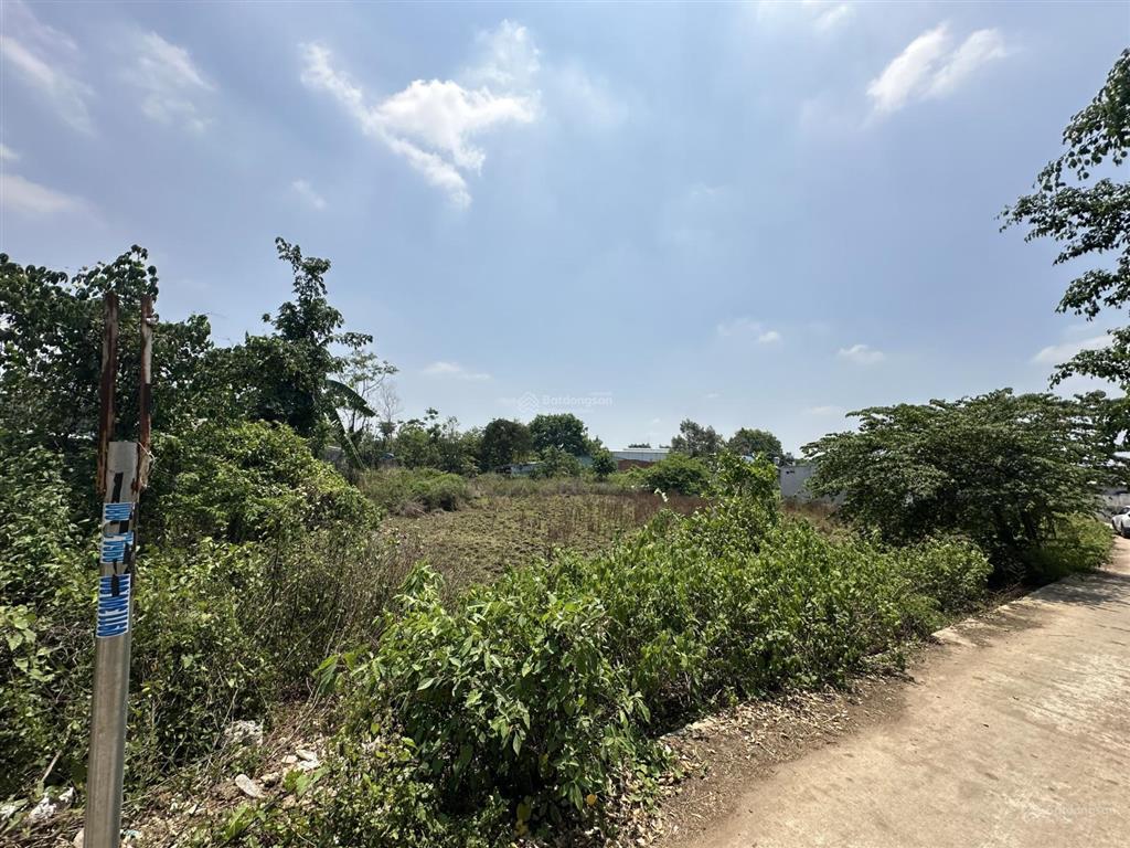 Cần bán gấp, giảm 2 tỷ đất 2269m2 tại điểu xiển, 13 tỷ (thương lương), pháp lý đầy đủ, mặt tiền 4m