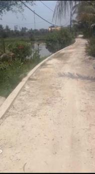 Bán 3000m2 đất nông nghiệp đường 12 lòng phước q9. giá 3.5 triệu/m2. trực tiếp chính chủ