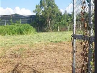 Kẹt tiền cần bán 4000m2 đất cln, sổ đỏ chỉ 5.5 tr/m2 vuông vức, có cổng rào, hẻm 100 long phước