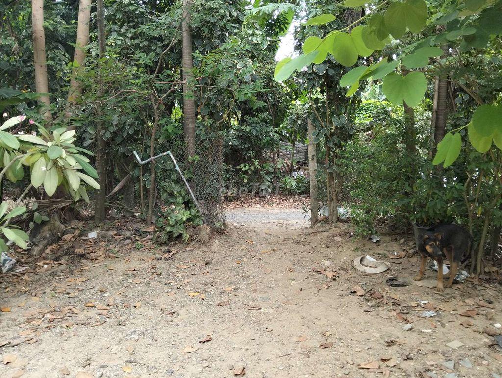 lô đất nhà vườn ba lá đinh liệt nối dài. đà nẵng 