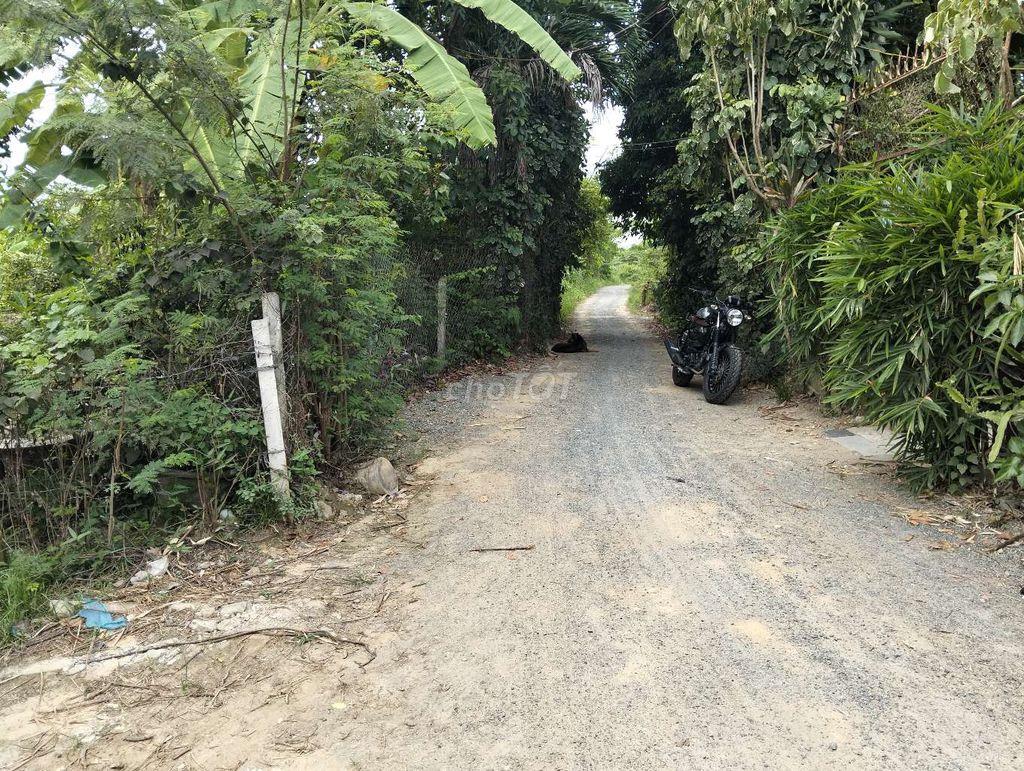 lô đất nhà vườn ba lá đinh liệt nối dài. đà nẵng 