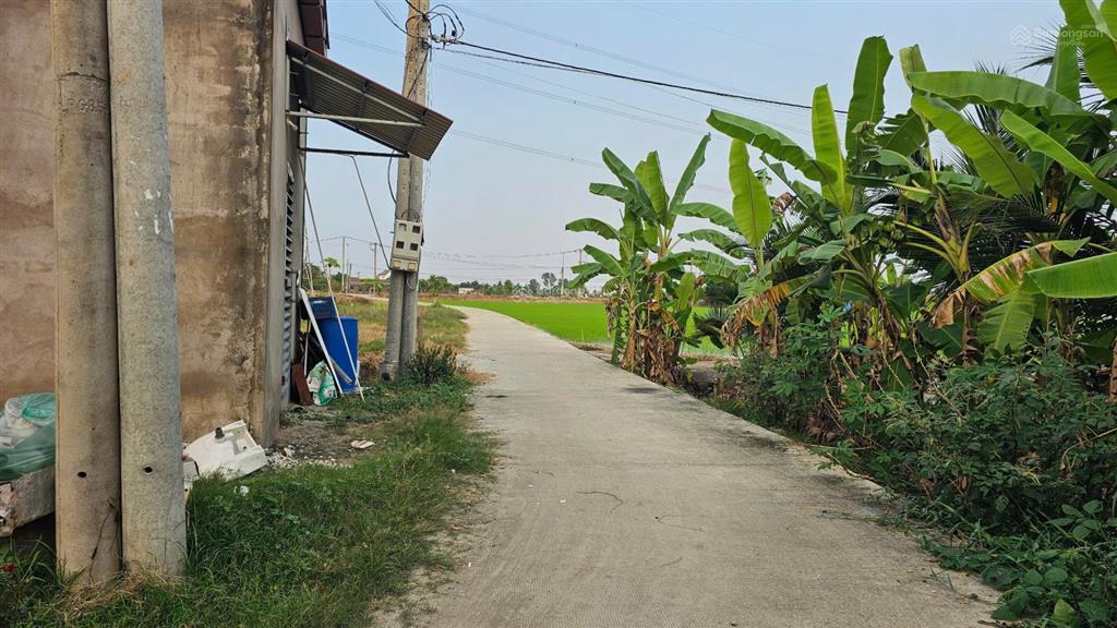 Bán gấp đất thổ cư đường bê tông, sổ đỏ sẵn, hướng đông, cách ql1a chỉ 1km, giá siêu tốt
