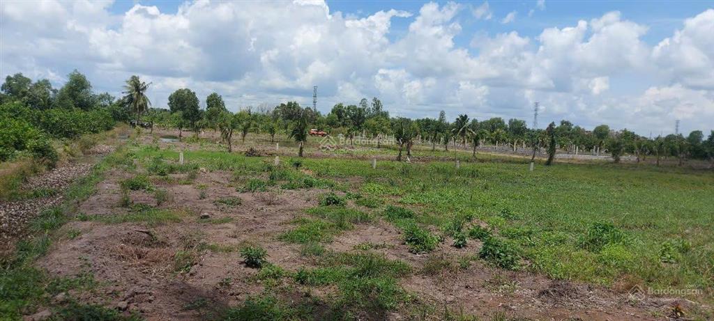 Bán gấp lô thổ cư 100% sát vành đai 4, mặt bằng sẵn, xây dựng ngay, ô tô tới đất, vị trí đẹp