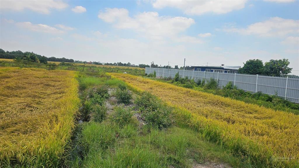 Bán gấp lô đất 300m2, nhà vườn bên cạnh, gần chợ, view sống thoáng mát, thích hợp làm nghỉ dưỡng