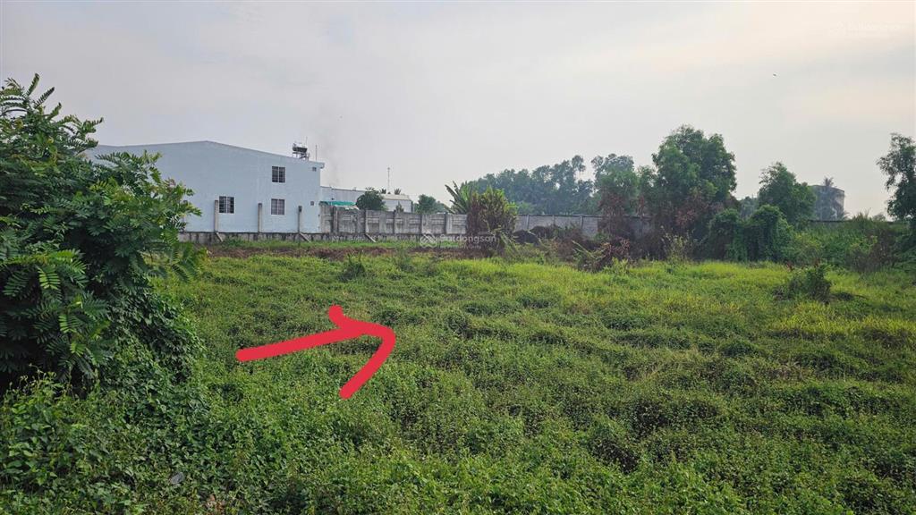 Bán gấp đất mặt tiền dt 818, hàng rào kiên cố, khu dân cư đông, gần cao tốc, sổ sẵn, giá tốt