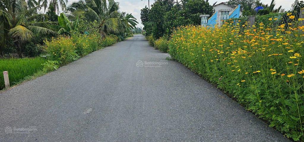 Bán đất vị trí đẹp mặt tiền, nền cao ráo, khu dân cư hiện hữu, sổ hồng riêng, chỉ 500 triệu/nền
