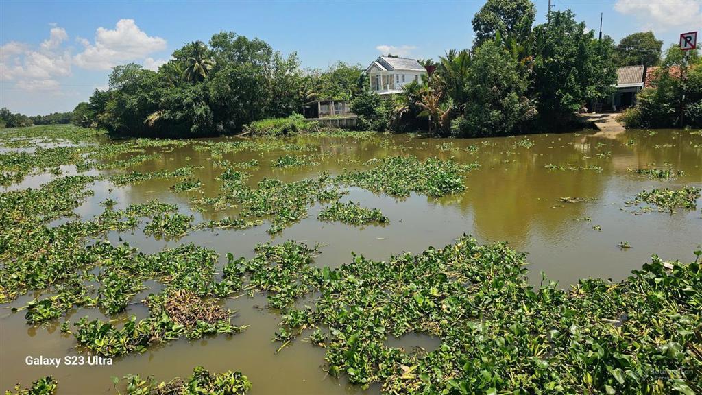 Bán nhanh lô thổ cư đường nhựa, view sông, đất vuông đẹp, nền cao, có thể phân lô, giá tốt
