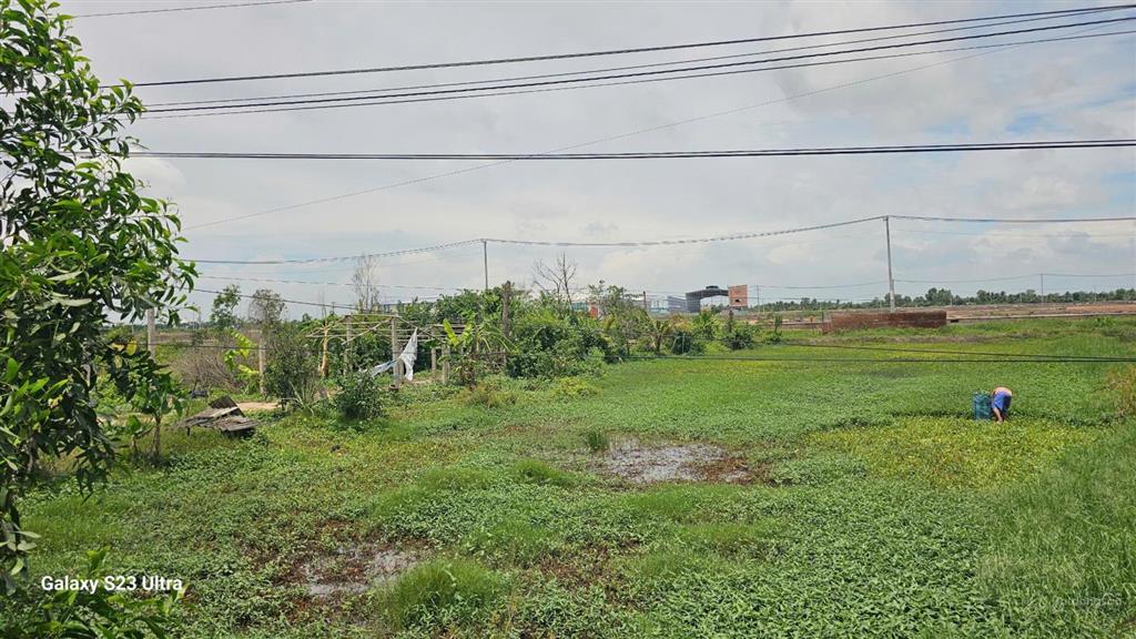 Bán nhanh hàng hiếm mặt tiền đường nhựa khu cn thủ thừa, vị trí đẹp, thuận tiện kinh doanh, đầu tư