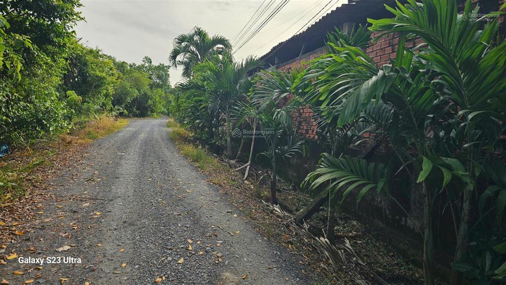 Bán đất thổ cư view sông thủ thừa, hàng hiếm đẹp, mặt tiền đường nhựa, gần kcn, thích hợp xây kho