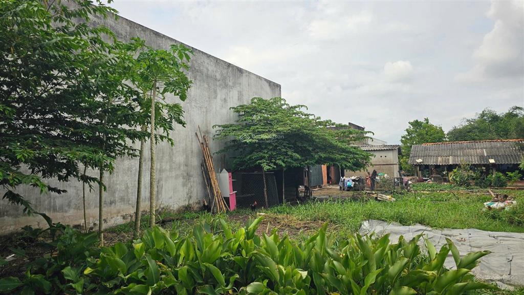 Bán nhanh đất thổ cư bến lức, nền cao ráo, đường bê tông rộng, khu dân cư hiện hữu, sổ sẵn, giá tốt
