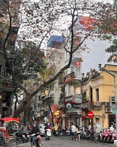 Lô đất hai mặt tiền siêu hiếm vị trí vàng phố nhà chung  nhà thờ lớn kinh doanh siêu đỉnh