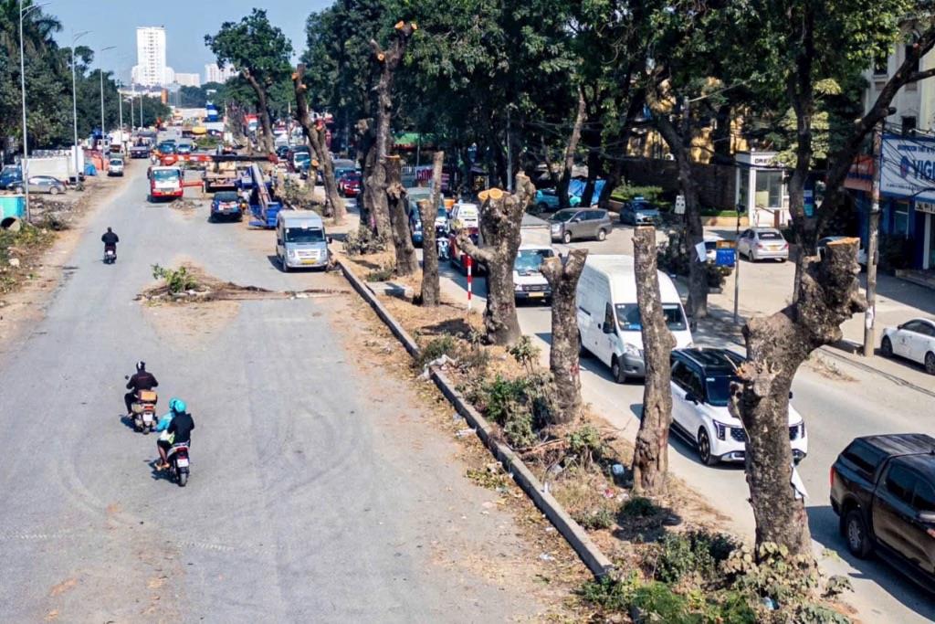 Bán nhanh lô đất 114m2 mặt đường Vành đai 3.5 giá đầu tư