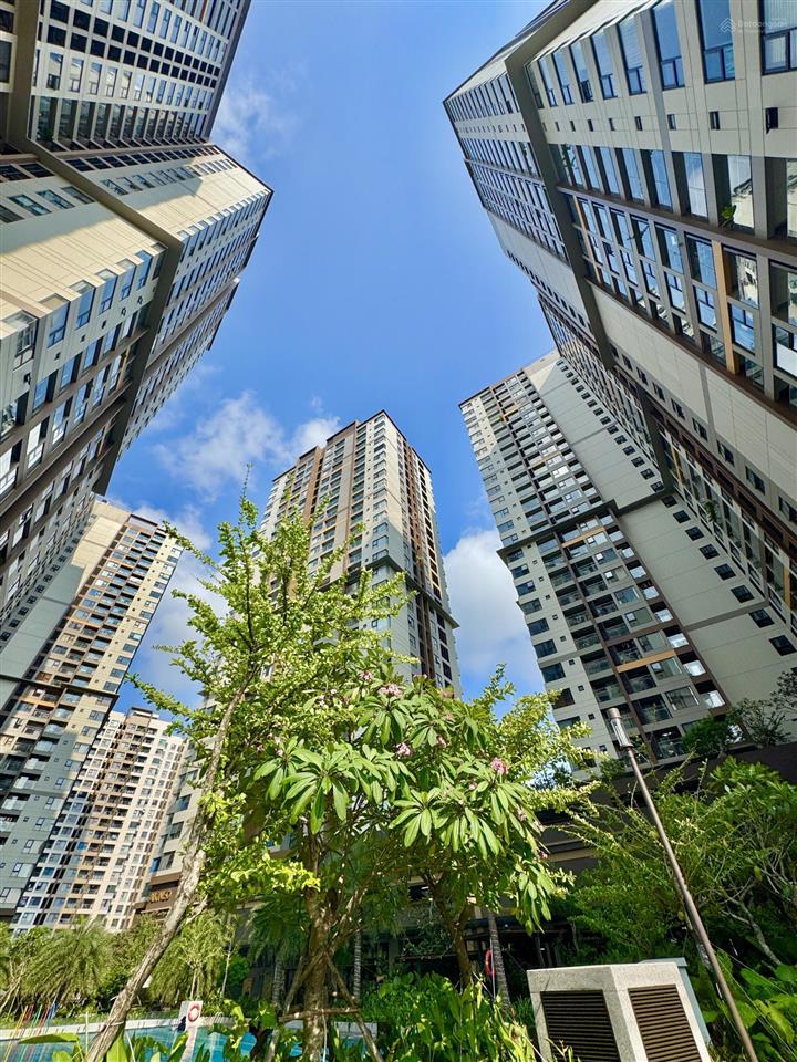 Cắt lỗ bán nhanh akari city  view trực diện q1, full nội thất đẹp  chỉ 5,24tỷ