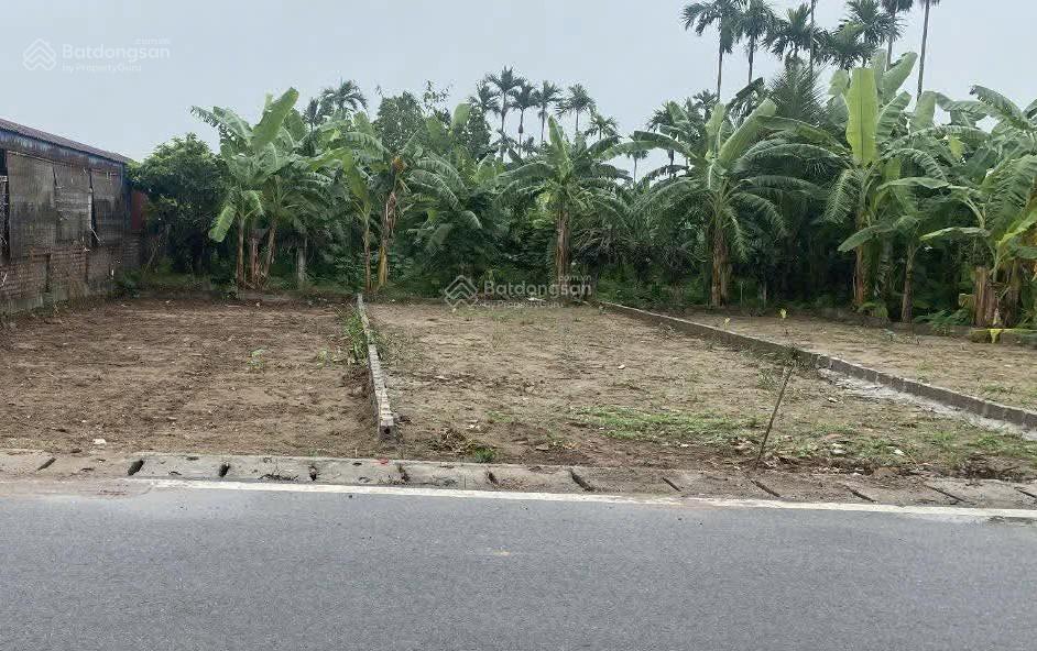 Lô đất 88m mặt đường nhựa ích trang rộng gần cổng phụ kcn tràng duệ 3 tiềm năng x2, x3 giá 1.63 tỷ