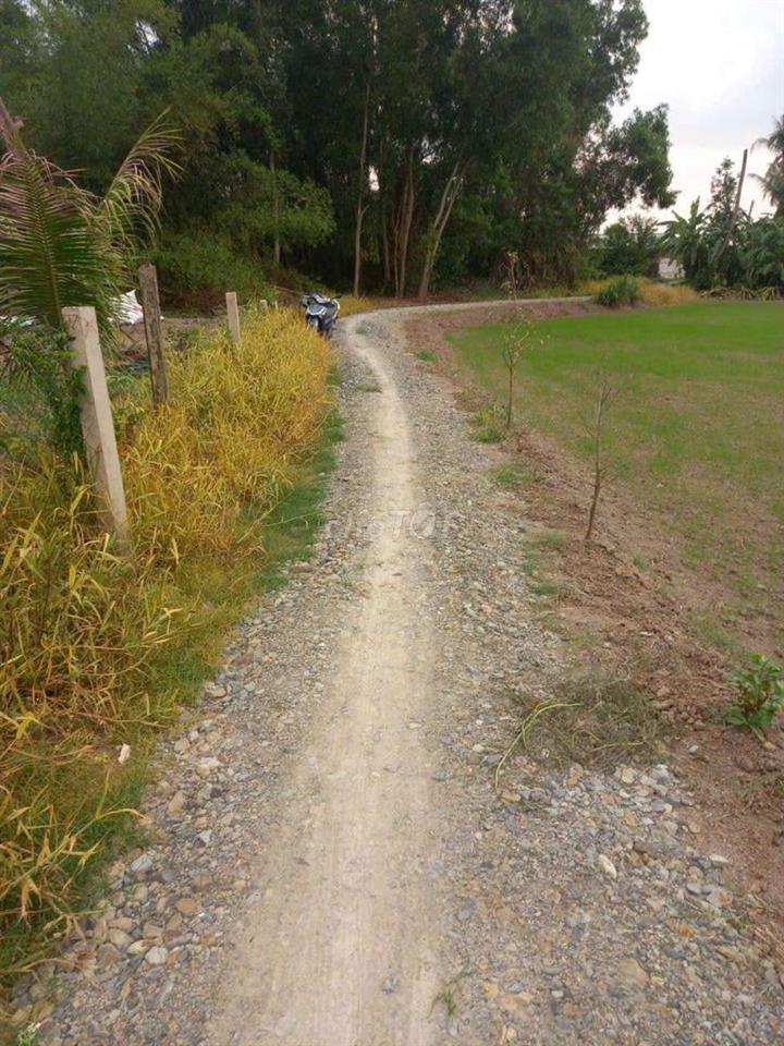 đang thiếu nợ ngân hàng nên bán để trả nợ